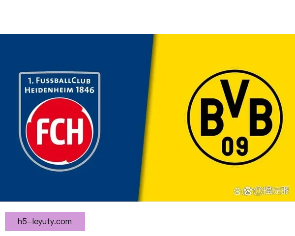 多特不败神话能否海登海姆延续