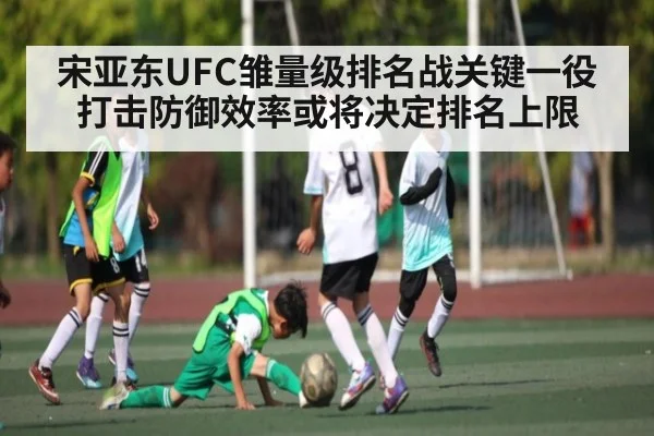 宋亚东UFC雏量级排名战关键一役 打击防御效率或将决定排名上限 - leyu